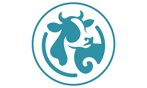 Qurbani