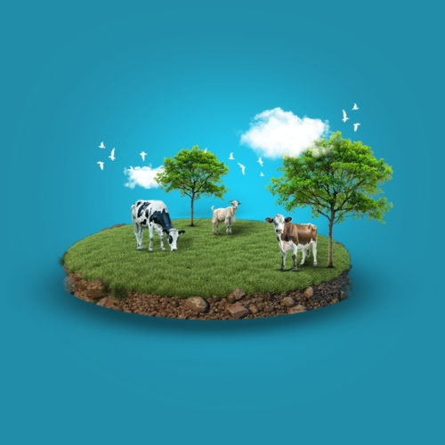 Qurbani – Irak 2026